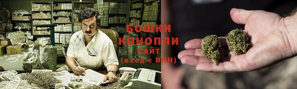 spice Бронницы