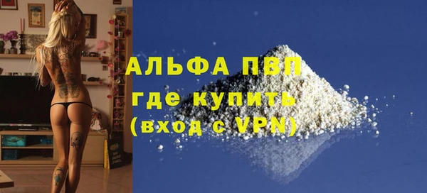 молекула духа Бородино