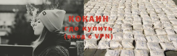 молекула духа Бородино