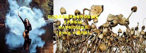молекула духа Бородино