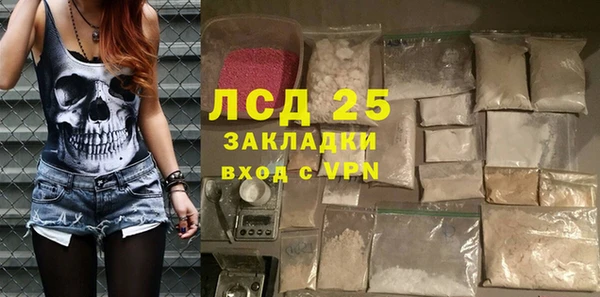 молекула духа Бородино
