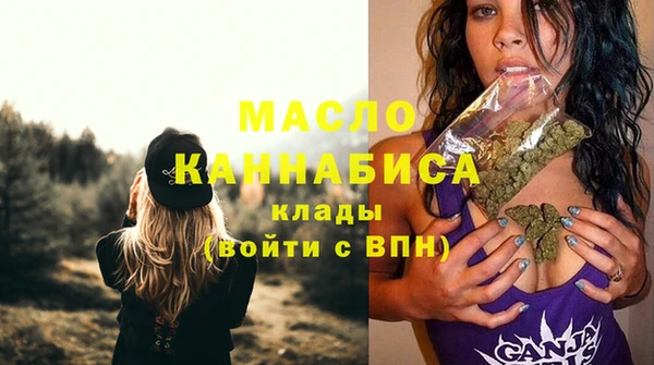молекула духа Бородино