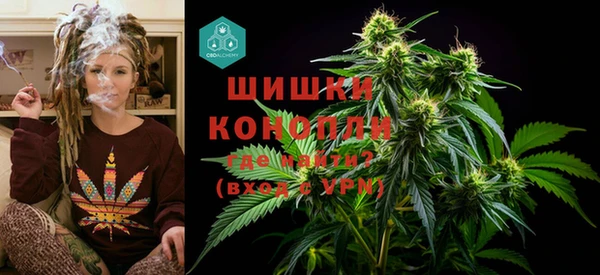 молекула духа Бородино