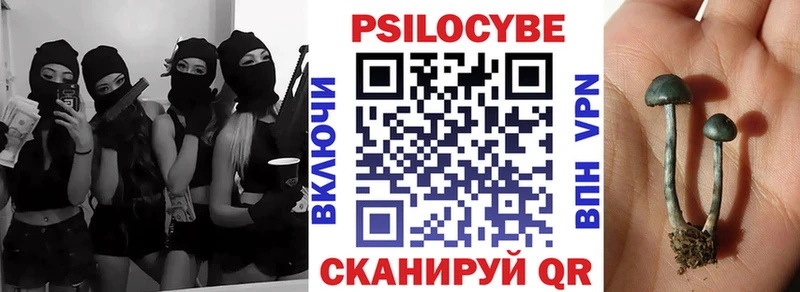 блэк спрут зеркало  Катайск  Псилоцибиновые грибы GOLDEN TEACHER  цена  